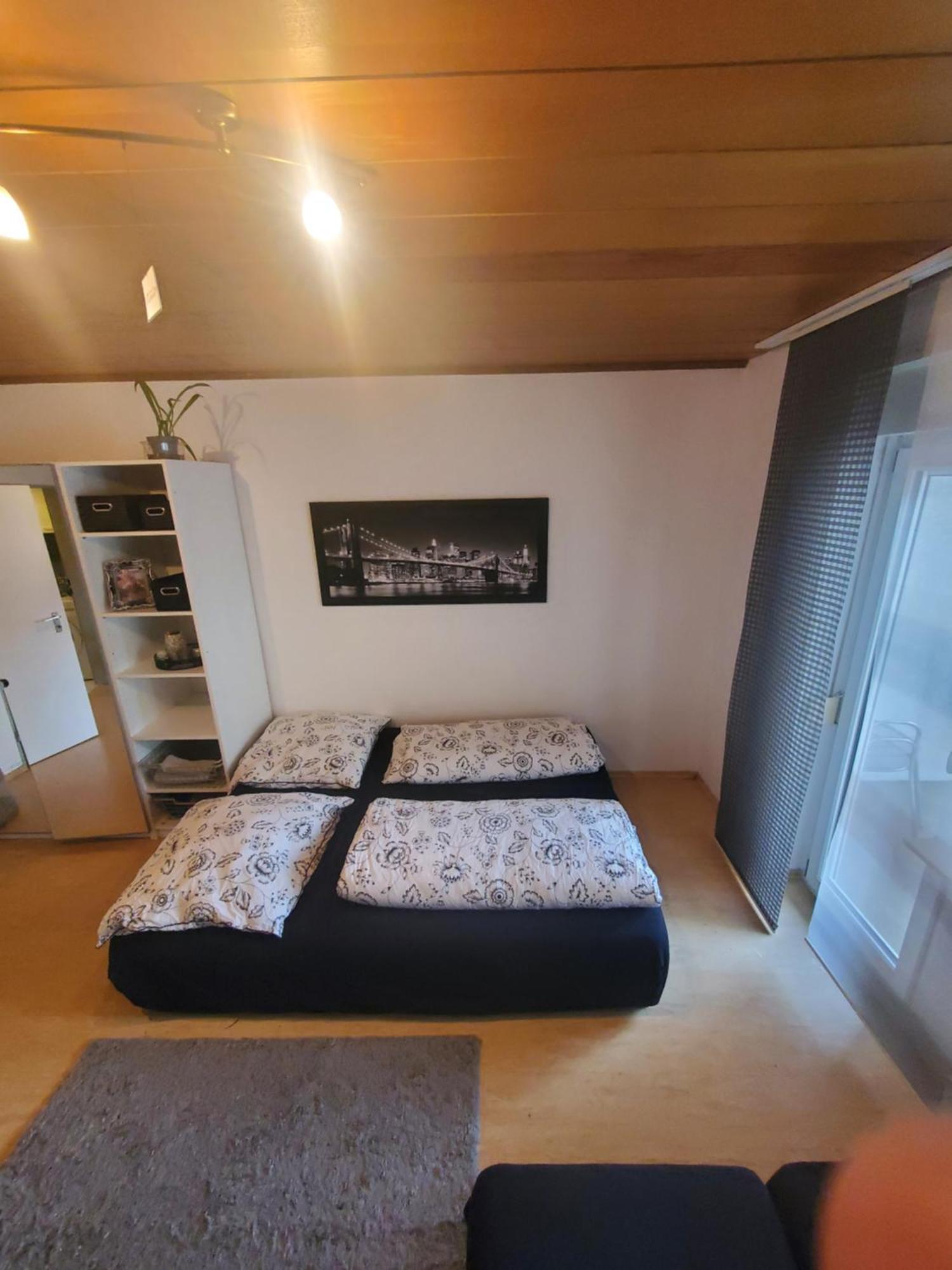Einzimmerwohnungmit Grossem Balkon Mietersheim Dış mekan fotoğraf